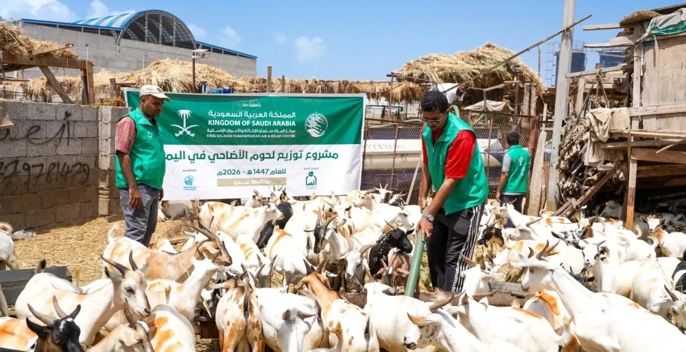 مركز الملك سلمان للإغاثة يدشن مشروع توزيع لحوم الأضاحي في اليمن
