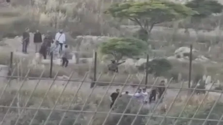 مشهد صادم.. مستوطنون إسرائيليون ينتهكون حرمة الموتى ويجبرون فلسطينيين على نقل جثة من قبرها (فيديو)