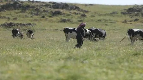 قوة عسكرية إسرائيلية تتوغل في حوض اليرموك في ريف درعا وتستجوب عددا من الرعاة في ريف القنيطرة