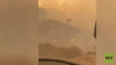 الولايات المتحدة.. حرائق الغابات تجبر سلطات ولاية يوتا على إجلاء السكان