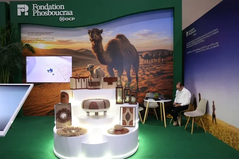 فوسبوكراع تثمن سلسلة الإبل