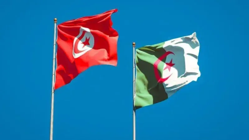 الستاغ تثمّن دعم الجزائر لتونس بالطاقة الكهربائية