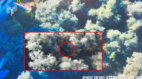 الجيش الإسرائيلي يعلن تصفية عنصرين بـ"حزب الله" في جنوب لبنان (فيديو)