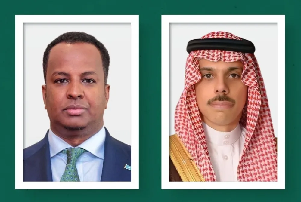 وزير الخارجية ونظيره الصومالي يؤكدان سيادة الصومال على كامل أراضيها