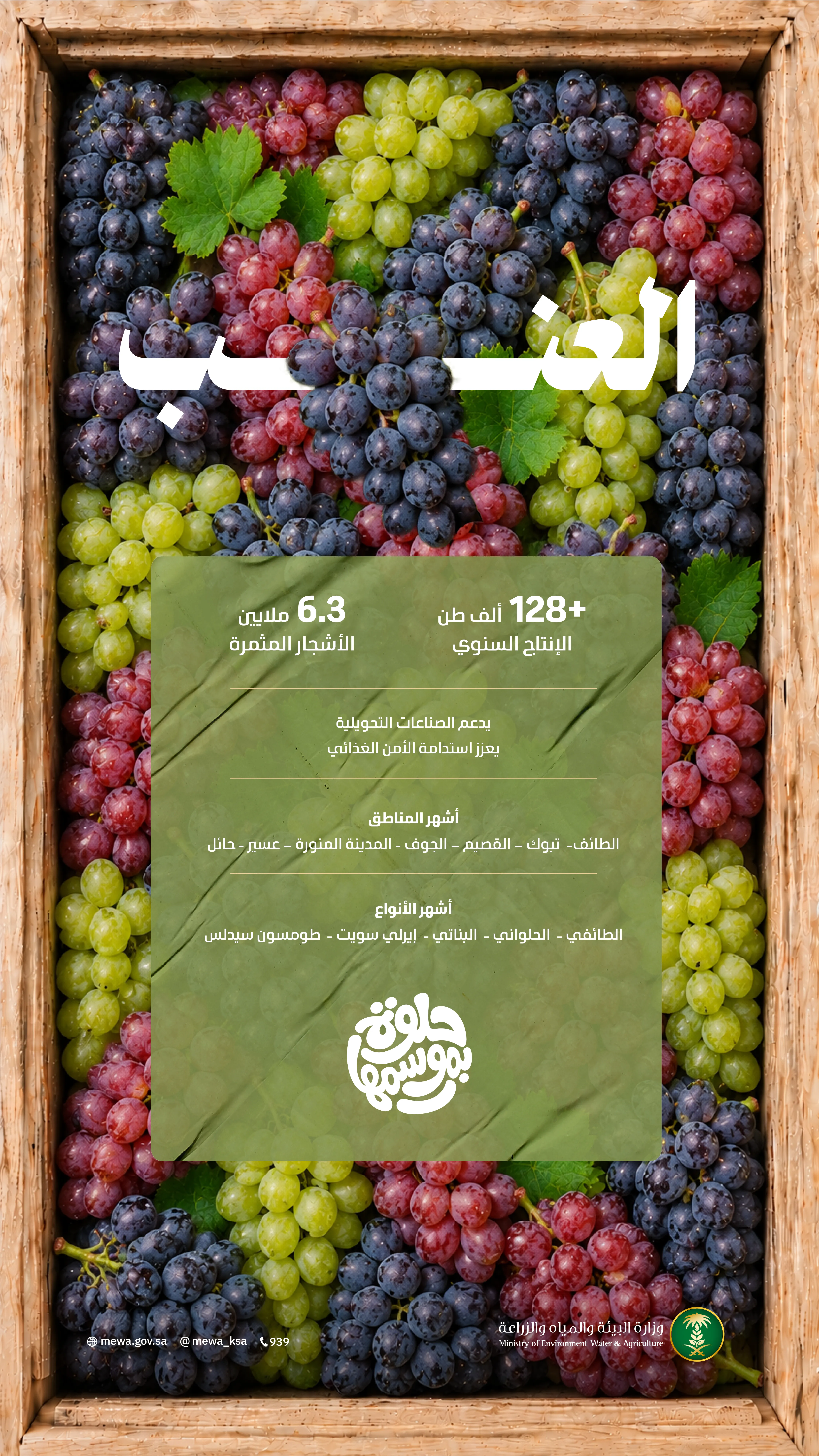بـ 128 ألف طن.. عناقيد العنب تغمر الأسواق بأجود الأصناف المحلية