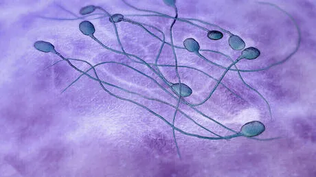 اكتشاف عامل مفاجئ يؤثر على جودة الحيوانات المنوية
