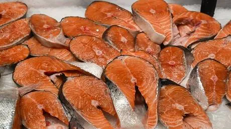 روسيا الثالثة عالميا في إنتاج سمك السلمون