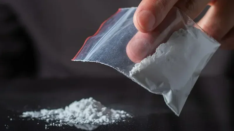 تفكيك شبكة لترويج المخدرات وحجز 95 صفيحة زطلة وكوكايين