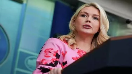 البيت الأبيض: ترامب يؤكد محاولات إسرائيل والدول الأجنبية التأثير على الرأي العام الأمريكي