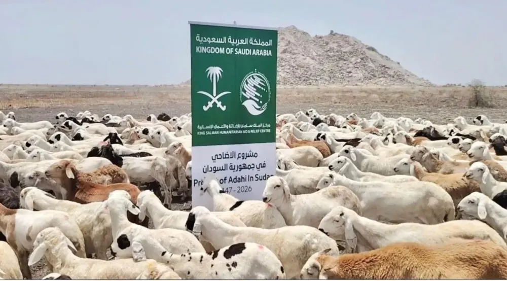 مساعدات سعودية.. توزيع لحوم 1.067 أضحية في 4 ولايات سودانية