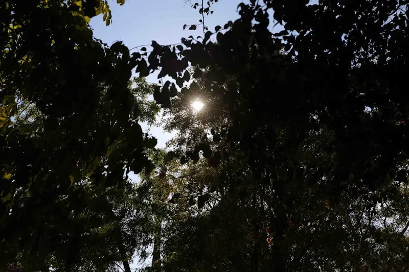 توقعات طقس اليوم السبت بالمغرب