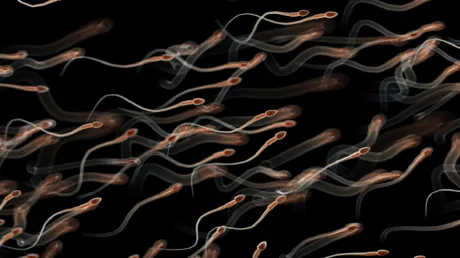 "أولمبياد الحيوانات المنوية".. حدث أمريكي غريب يثير الجدل حول خصوبة الرجال