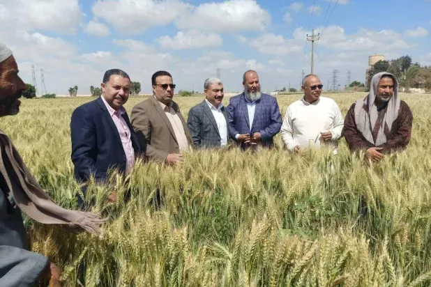 أسعار الغذاء المصري مرشحة لـ«قفزة» مع ارتفاع تكلفة الزراعة