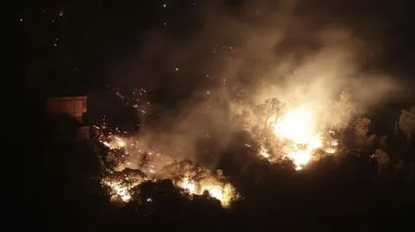 الجزائر.. السيطرة على 91 حريقا من أصل 103 خلال الـ 24 ساعة الأخيرة (صور + فيديو)