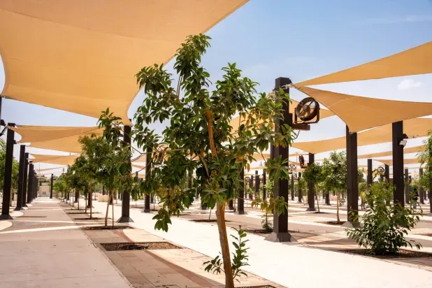 زراعة 60 ألف شجرة في المشاعر المقدسة لبيئة أكثر راحة للحجاج