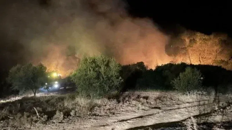 سليانة: حريق جبل المرقب تحت السيطرة.. وعمليات التبريد متواصلة