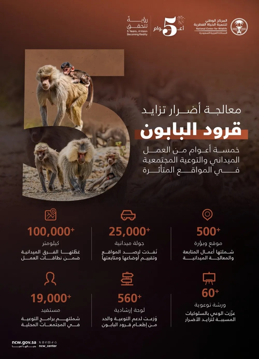 الحياة الفطرية: جهود ميدانية متواصلة للحد من أضرار تزايد قرود البابون