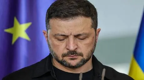 برلماني أوروبي: زيلينسكي قد يصبح متهما في قضايا فساد