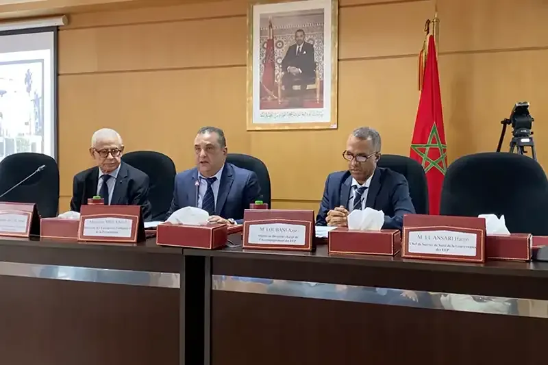 الحكامة والمؤسسات العمومية