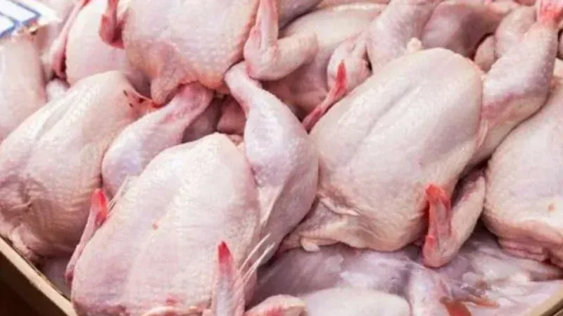 نابل: الغرفة النقابية لباعة الدواجن والبيض تحذر من انتشار الدخلاء