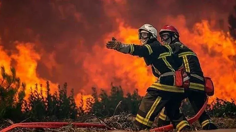 حرائق الغابات تخرج عن السيطرة في جنوب ألمانيا