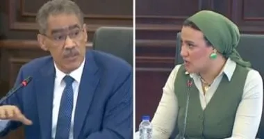 ضياء رشوان لـ اليوم السابع: وزارة البترول كانت أول جهة تعلن عن حريق دمياط