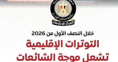 مجلس الوزراء: الاقتصاد والطاقة والتموين الأكثر استهدافًا بالشائعات