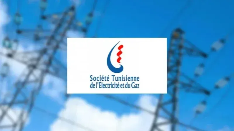 ديون الستاغ تبلغ حوالي 7356 مليون دينار