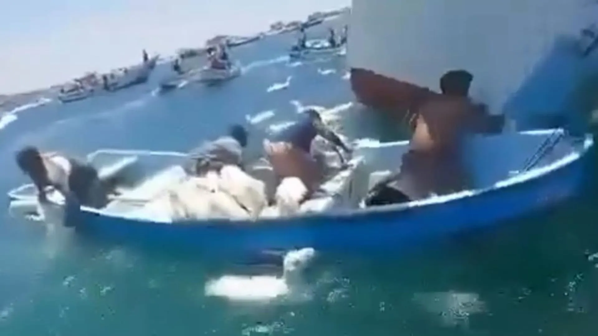 "جنوح سفينة تحمل أغنامًا قبالة سلطنة عُمان بعد هجوم بمُسيرات".. ما حقيقة الفيديو؟