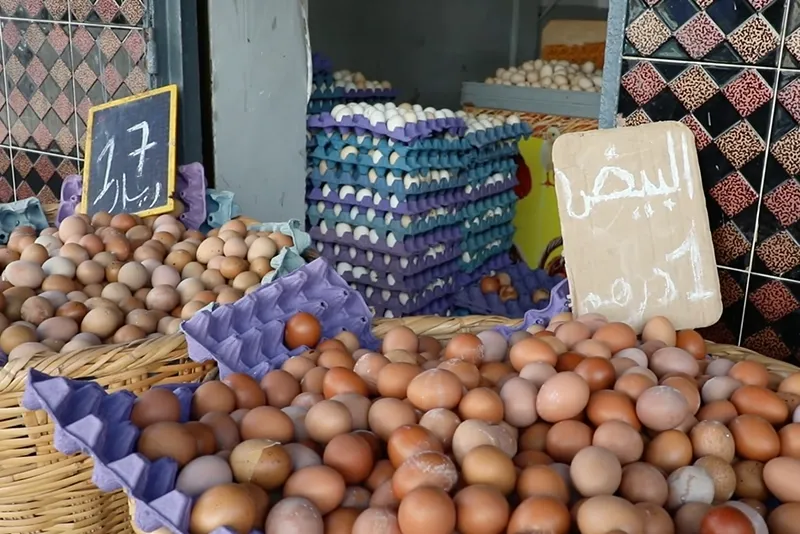 بين وفرة العرض وتذبذب الطلب .. أسعار البيض غير مستقرة بالمغرب
