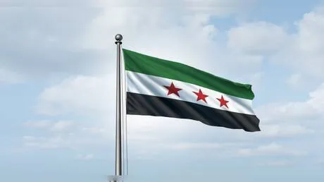 إعداد مشروع قانون جديد في سوريا لتنظيم حق التظاهر السلمي