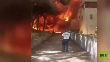 مشاهد متداولة لحرائق غابات جنوبي إيطاليا