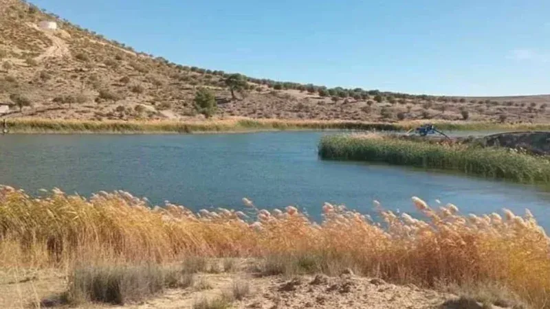 تالة: مشروع بقيمة 9 ملايين دينار لتهيئة بحيرة جبلية