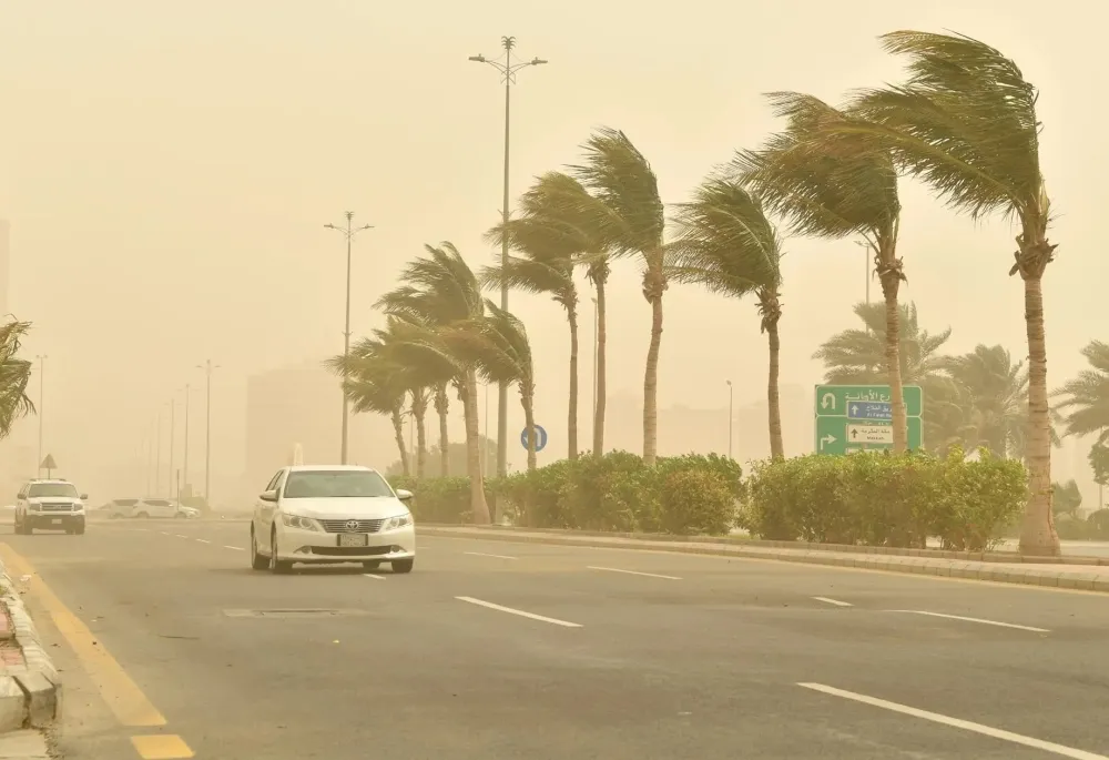 طقس الشرقية الأحد.. رياح نشطة وأتربة مثارة على هذه المدن