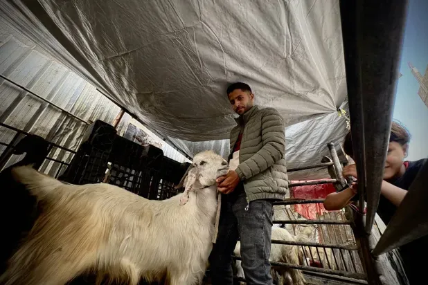 عيد غزة: حُجاج ممنوعون من الخروج... وأضاحٍ نادرة