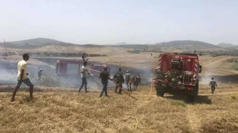 الحرائق خارج تعويضات صندوق الجوائح.. ونقابة الفلاحين تدعو إلى التأمين