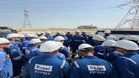 وزير مصري يعاقب عاملين في الإمارات