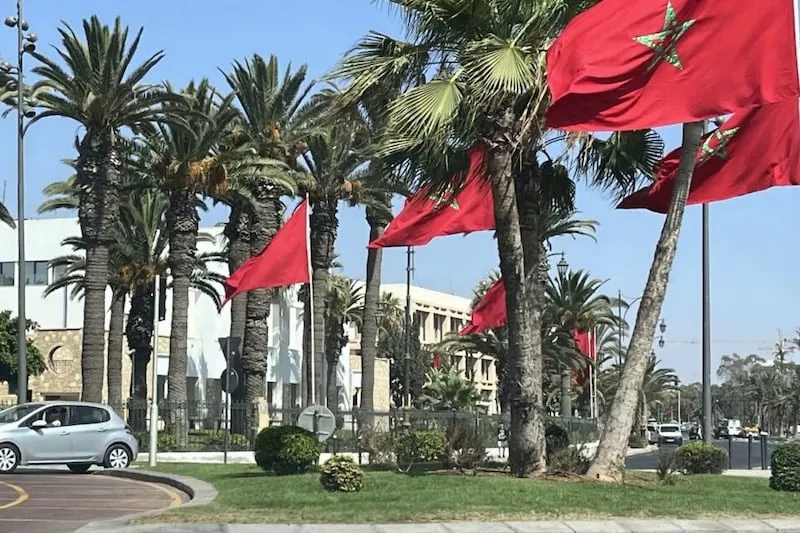 وزارة الداخلية تعمم توجيهات حول صفقات التزود بالنخيل في جماعات ترابية