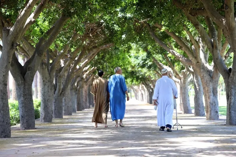 شبح الشيخوخة يهدد المغرب.. ربع السكان فوق 60 سنة بحلول 2060