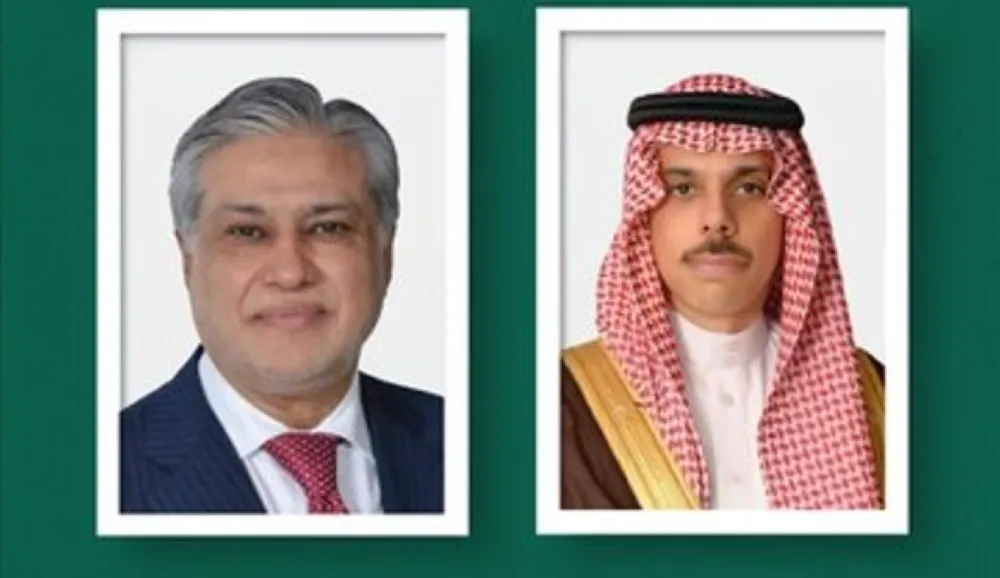 وزير الخارجية ونظيره الباكستاني يبحثان مستجدات التطورات الإقليمية