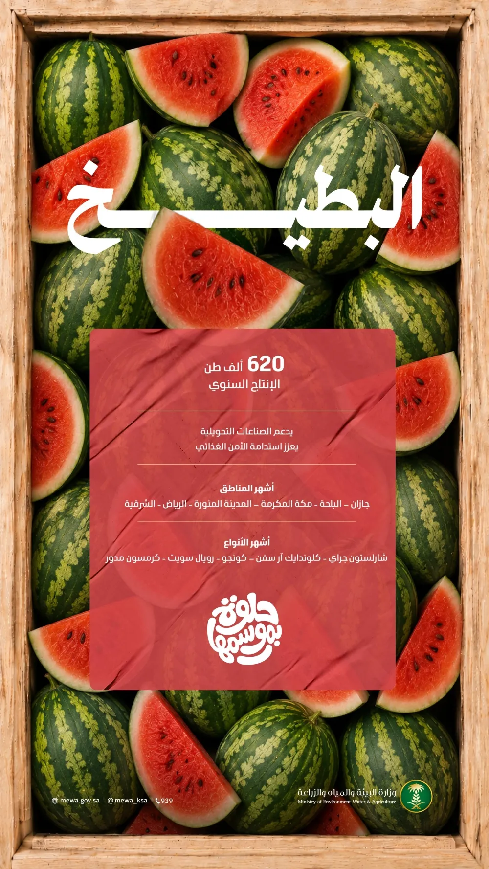 بإنتاج يتجاوز 620 ألف طن.. البطيخ يشهد ذروة الإقبال خلال موسم الصيف