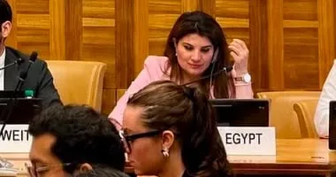 الأمم المتحدة تعتمد قراراً مصرياً بخصوص حماية العاملين في المجال الإنساني