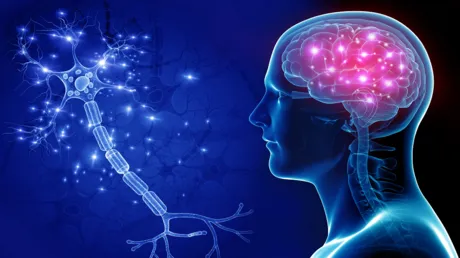 عامل هام يرتبط بتسارع شيخوخة الدماغ لدى الشباب
