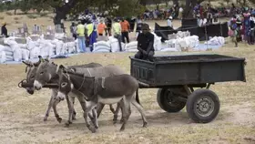 الجوع يلاحق الملايين بسبب جفاف الجنوب الأفريقي