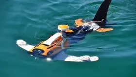 روبوتات أسماك تستكشف التلوث