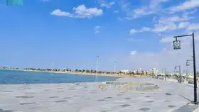 90 % من المدن الساحلية تراهن على المأكولات البحرية