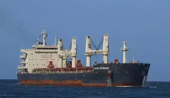 الحوثيون يستهدفون سفينة حاويات أمريكية بصاروخ باليستي الحوثيون يستهدفون سفينة حاويات أمريكية بصاروخ باليستي