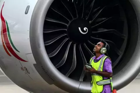 جرذ يعطل رحلات طيران 3 أيام جرذ يعطل رحلات طيران 3 أيام