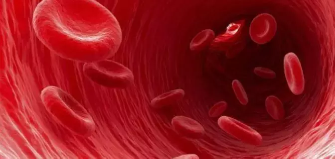 ذكور المدينة الأكثر إصابة بأورام الدم ذكور المدينة الأكثر إصابة بأورام الدم