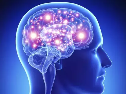 كيف يعمل دماغ المتحدثين بـ5 لغات وأكثر عند سماع الكلام باللغة الأم كيف يعمل دماغ المتحدثين بـ5 لغات وأكثر عند سماع الكلام باللغة الأم